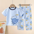 Sky blue Cool Dino Printed Kids Night Suit (RB-423)